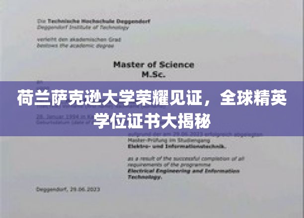 荷兰萨克逊大学颁发全球精英荣耀学位，揭秘非凡成就背后的秘密