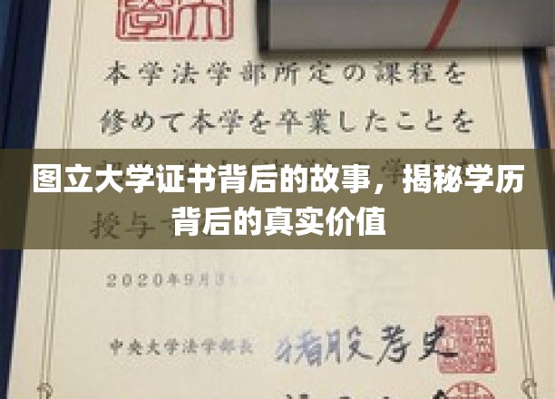 图立证书背后的秘密，探索学历的深层价值与意义