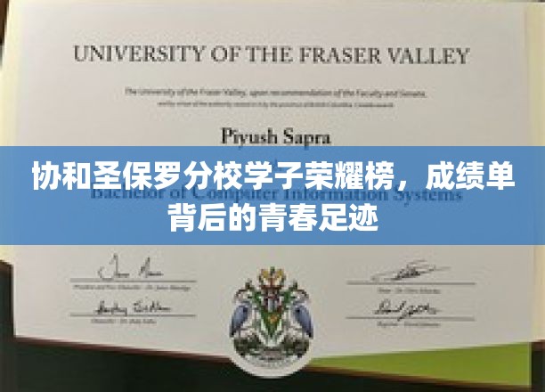 协和圣保罗分校学子荣耀榜，成绩单背后的青春足迹