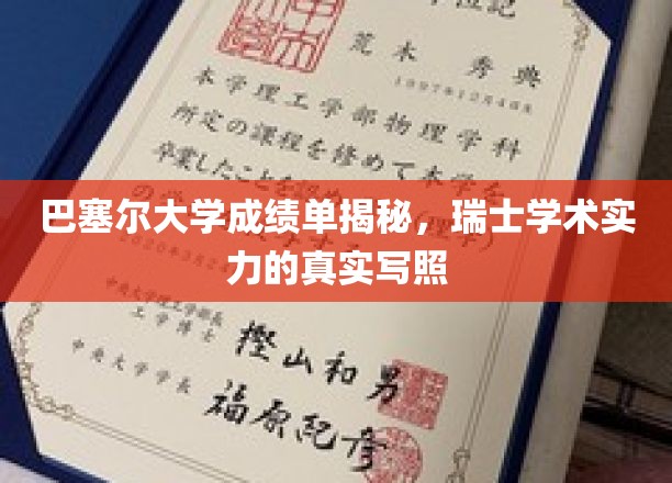 瑞士巴塞尔大学成绩单背后的学术辉煌