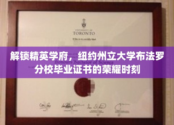 精英学府荣耀启航，纽约州立大学布法罗分校毕业生证书背后的辉煌之路