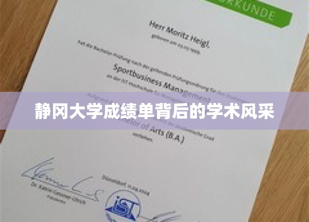 静冈大学成绩单背后的学术风采