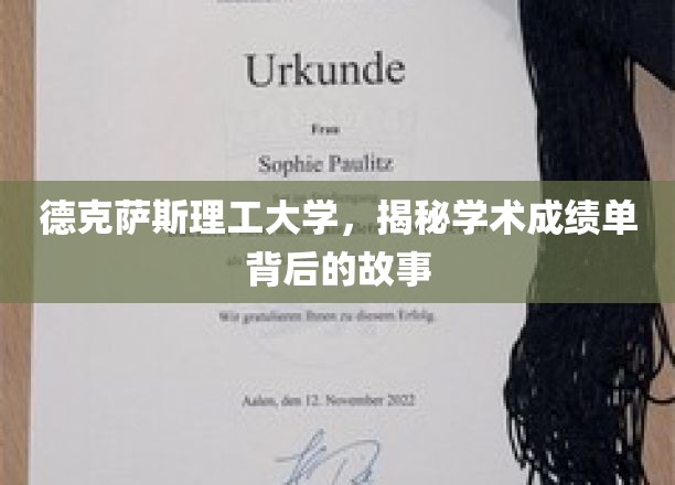 德克萨斯理工大学，揭秘学术成绩单背后的故事