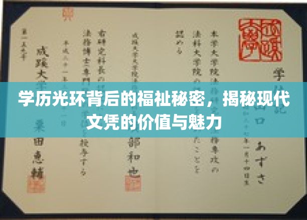 文凭背后的双重世界，解码学历的光环与真实价值