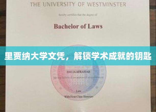 里贾纳大学文凭，开启学术成就之门的钥匙