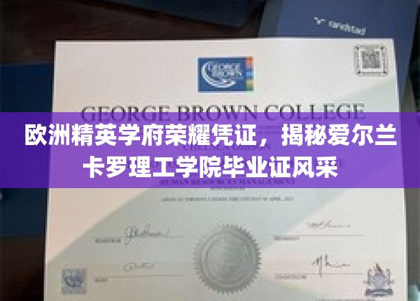 爱尔兰卡罗理工学院荣耀证书，探索欧洲精英学府的独特色彩