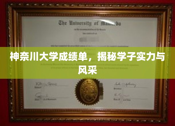 神奈川大学成绩单，展现学子实力与风采