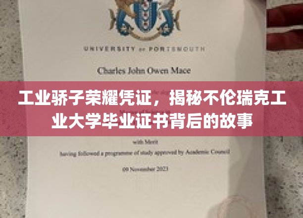 工业骄子荣耀凭证，揭秘不伦瑞克工业大学毕业证书背后的故事