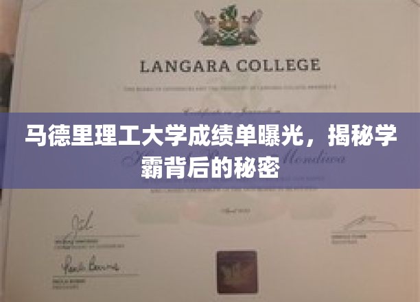 马德里理工学霸档案大揭秘，成绩单背后的非凡故事