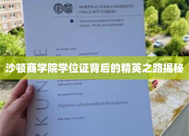 沙顿商学院学位证背后的精英之路揭秘