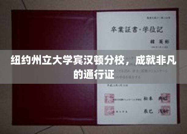 解锁非凡未来的纽约州立大学宾汉顿分校通行证