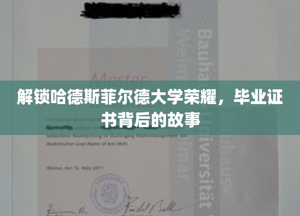 探寻哈德斯菲尔德大学卓越证书背后的传奇旅程
