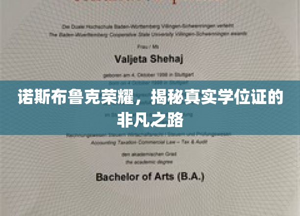 探寻诺斯布鲁克荣耀背后的真实学位证传奇之路