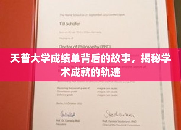 天普大学成绩单背后的故事，探寻学术成就的脉络