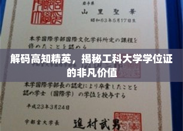 解码精英学府，工科学位证的隐性力量