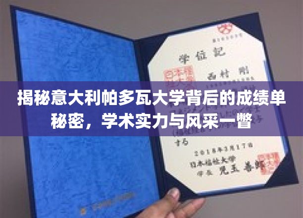 揭秘意大利帕多瓦大学背后的成绩单秘密，一瞥其学术实力与风采