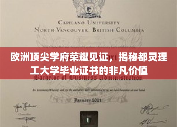 欧洲顶尖学府荣耀见证，揭秘都灵理工大学毕业证书的非凡价值