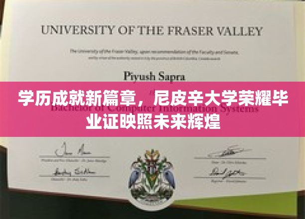 尼皮辛大学荣耀加冕，学历新里程碑，毕业证照亮辉煌人生路