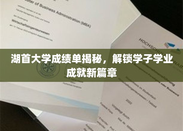 湖首学子成绩单大揭秘，揭秘湖大精英成长轨迹