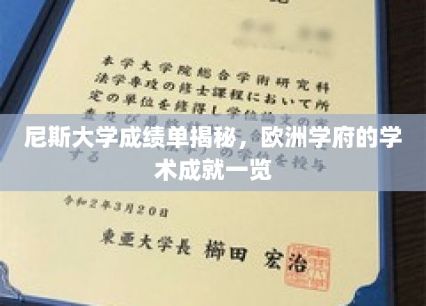 尼斯大学成绩单解读，欧洲学府学术成就一瞥