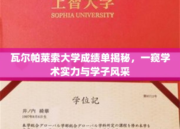 解码瓦尔帕莱索大学，成绩单背后的学术精英与青春风采