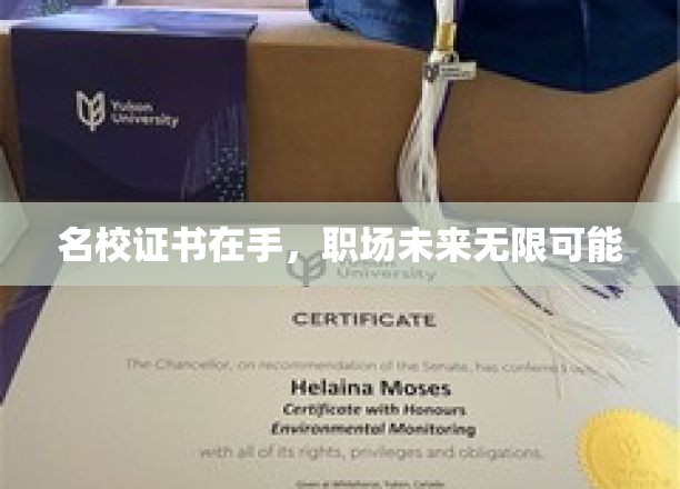 名校光环加身，职场成就无限可期