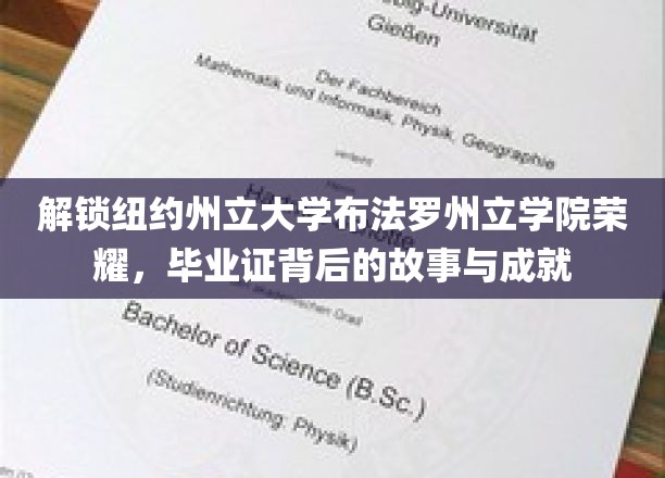 纽约州立大学布法罗州立学院荣耀背后的故事与成就