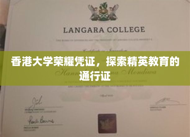 香港大学精英通行证，揭秘顶级学府的荣耀认证之路