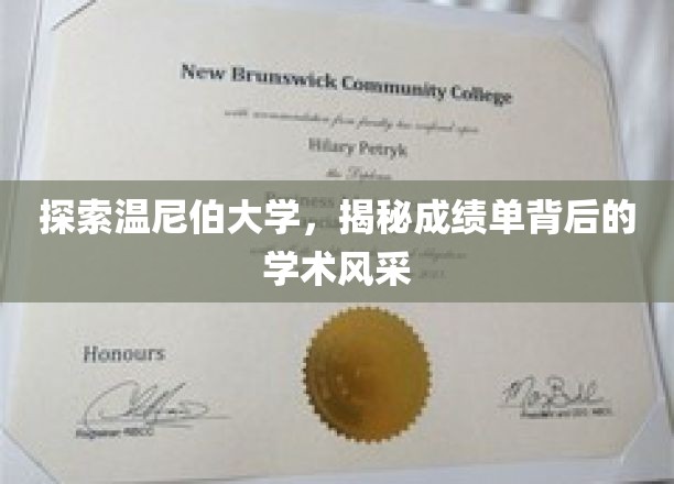 温尼伯大学成绩单揭秘，探寻学术实力与校园风采的秘密角落