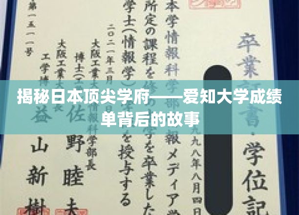 解码顶尖殿堂，爱知大学成绩单背后的神秘面纱