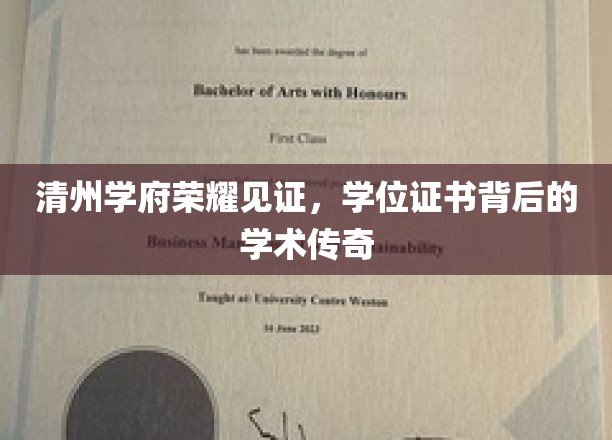 清州学府之光，学位证书背后的辉煌学术足迹