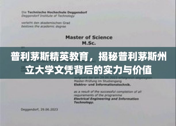 解码普利茅斯精英教育，州立大学文凭的非凡实力与深远价值