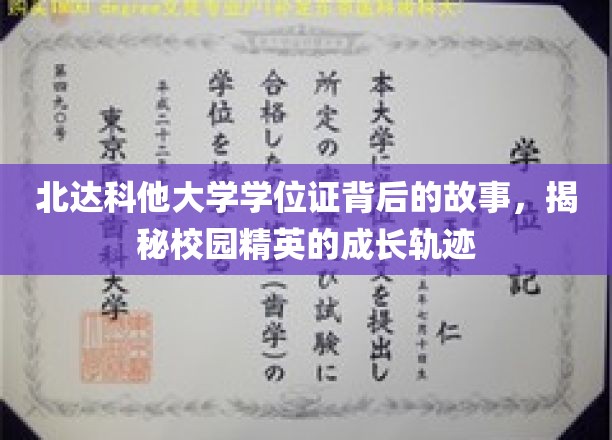 解锁北达科他大学学位证背后的传奇，校园精英的蜕变之路