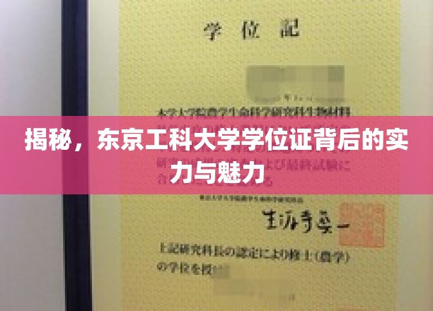 揭秘，东京工业大学学位证背后的实力与魅力