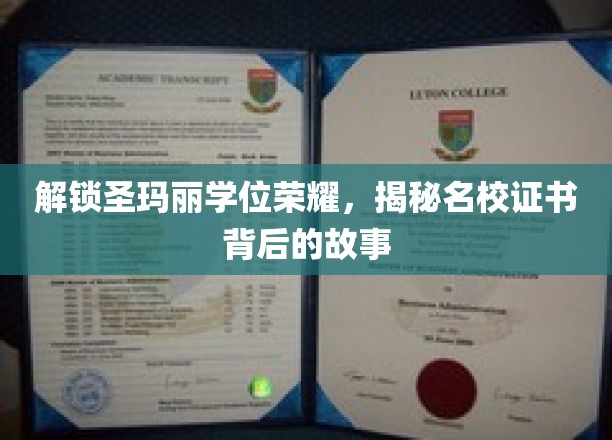 揭开圣玛丽学院荣耀证书背后的传奇奥秘