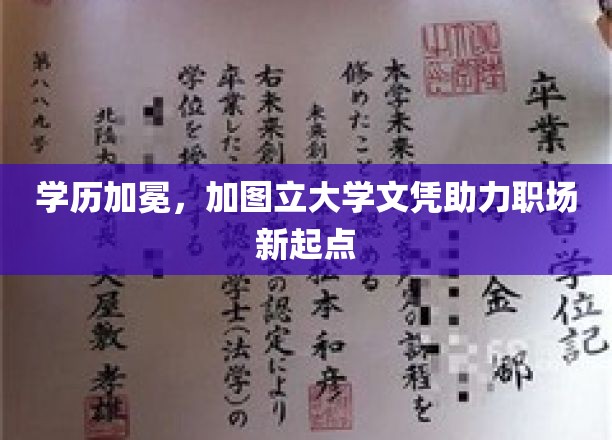 学历铸梦，加图立大学文凭开启职场新篇章