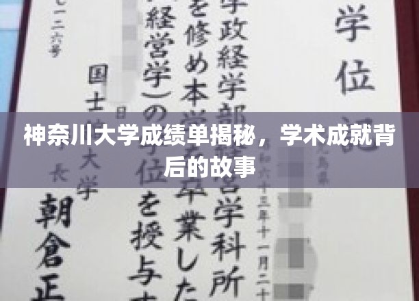 揭秘神奈川大学学霸之路，揭秘学术辉煌背后的故事