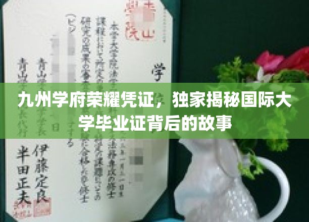 解码国际文凭，探寻九州学府荣耀证书的神秘面纱