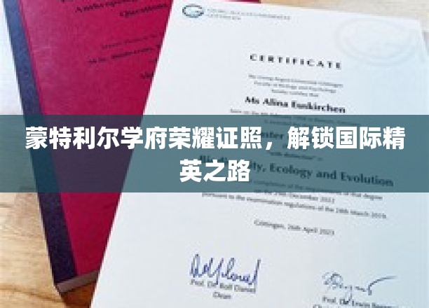 蒙特利尔名校光环照耀，引领全球精英启航之旅