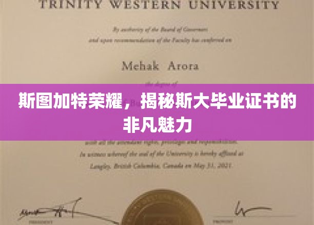 斯图加特荣耀，一窥斯大毕业证书的非凡魅力