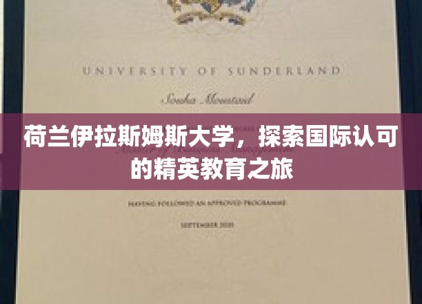 跨洋精英之旅，荷兰伊拉斯姆斯大学的教育风采探寻记
