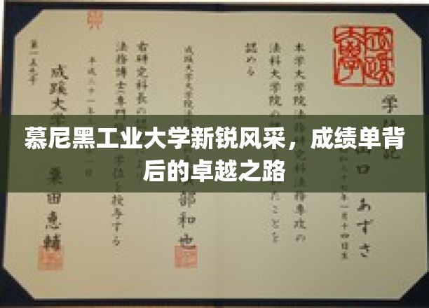 慕尼黑工业大学新秀崛起，揭秘卓越背后的成长轨迹
