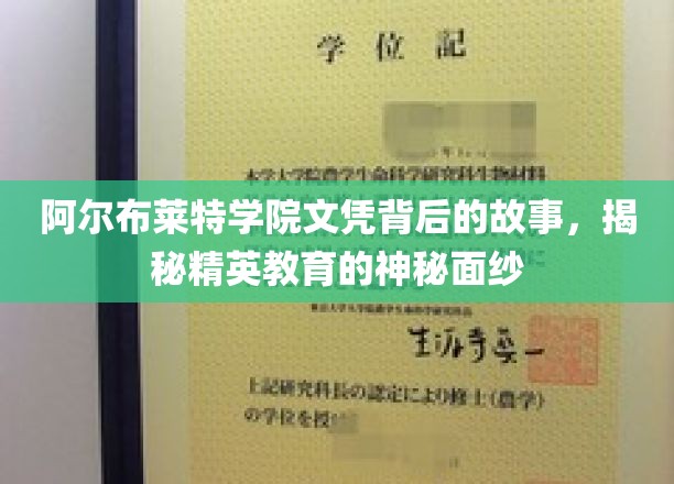 阿尔布莱特学院文凭背后的故事，揭开精英教育的神秘面纱