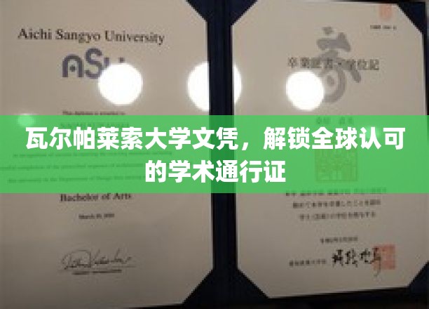 瓦尔帕莱索大学文凭，成就国际认可的学术精英之路