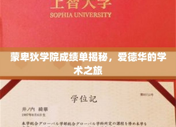探寻蒙卑狄学院精英之路，爱德华的卓越学涯揭秘