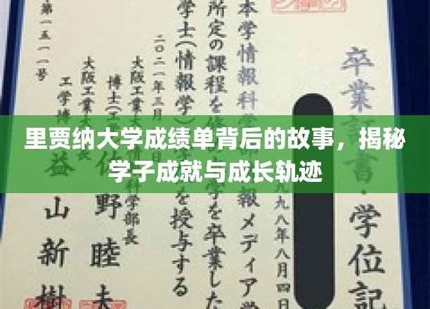 探寻里贾纳大学成绩单背后的青春足迹，学子成长故事全景呈现