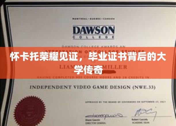 怀卡托荣耀见证，毕业证书背后的大学传奇