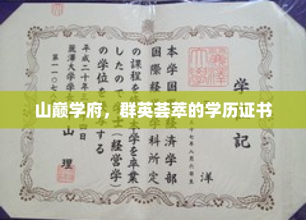巅峰之巅，精英云集的学历荣耀盛典