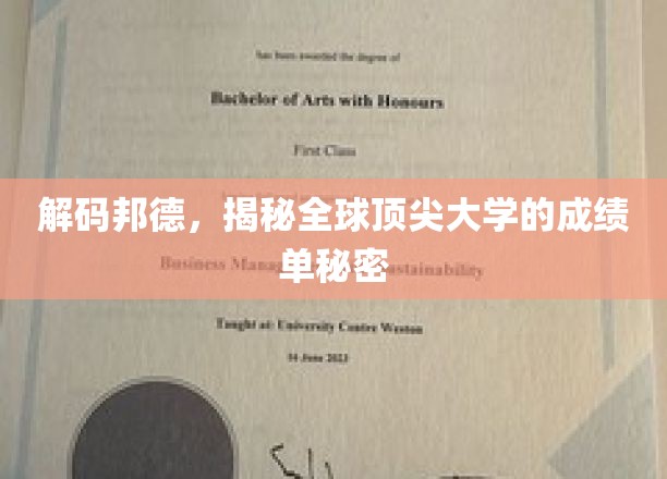 探秘全球名校，解码顶尖学子成绩单背后的秘密