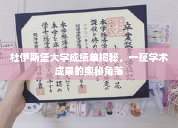 杜伊斯堡大学成绩单揭秘，一窥学术成果的奥秘角落